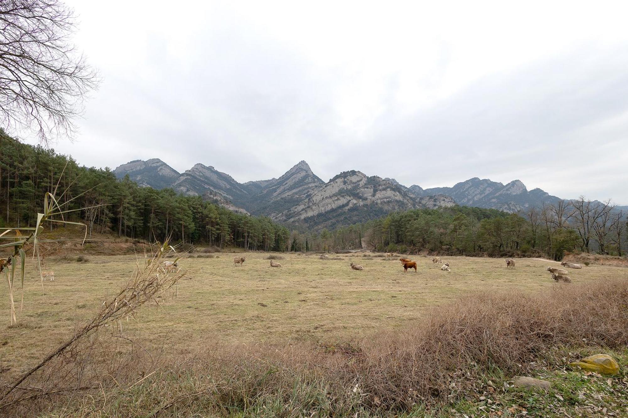 Agroturisme La Serra Vilada Luaran gambar